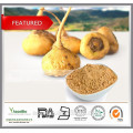 Natural Maca Root PE 10: 1,20: 1 / Extracto de Maca en polvo para la salud de los hombres